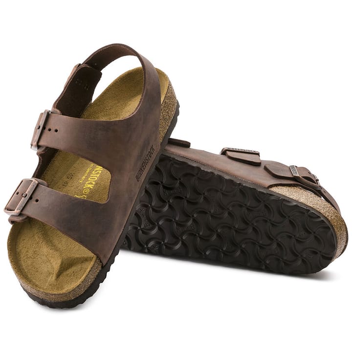 Birkenstock Milano Regular Habana Birkenstock Birkenstock Milano Regular Habana Birkenstock