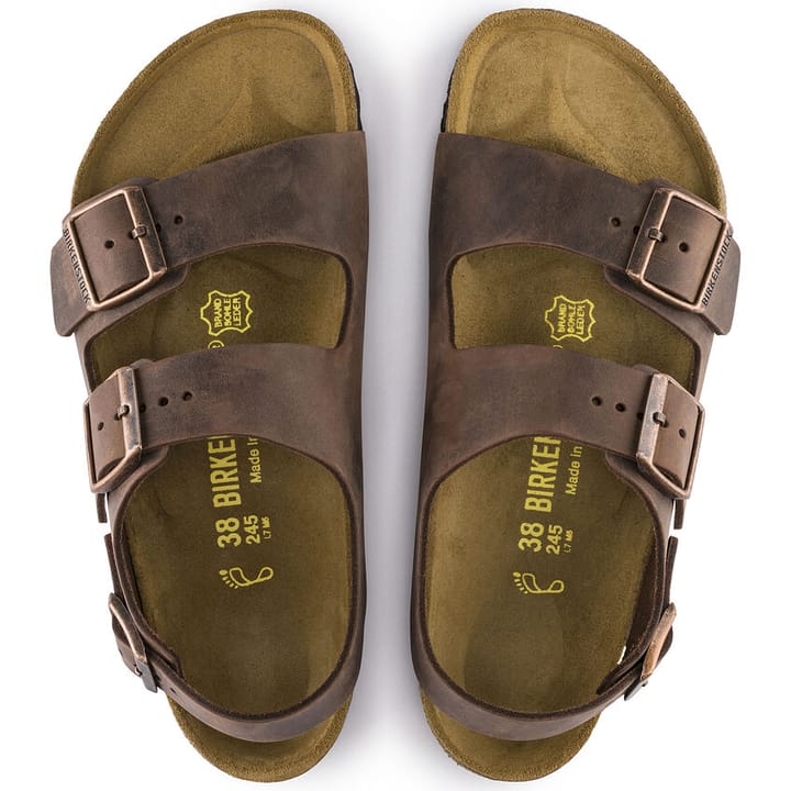 Birkenstock Milano Regular Habana Birkenstock Birkenstock Milano Regular Habana Birkenstock