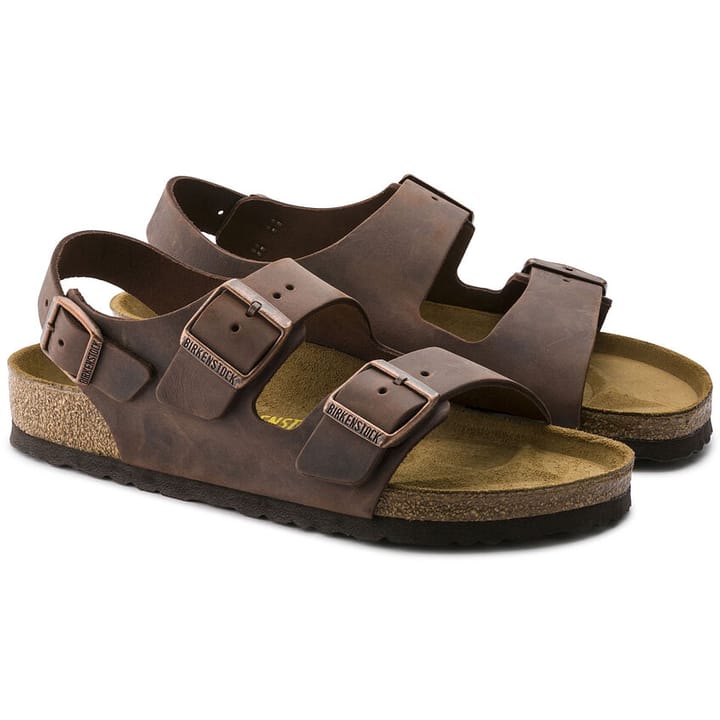 Birkenstock Milano Regular Habana Birkenstock Birkenstock Milano Regular Habana Birkenstock
