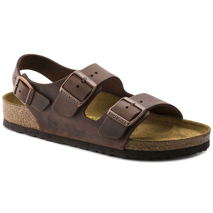 Birkenstock Milano Regular Habana Birkenstock Birkenstock Milano Regular Habana Birkenstock