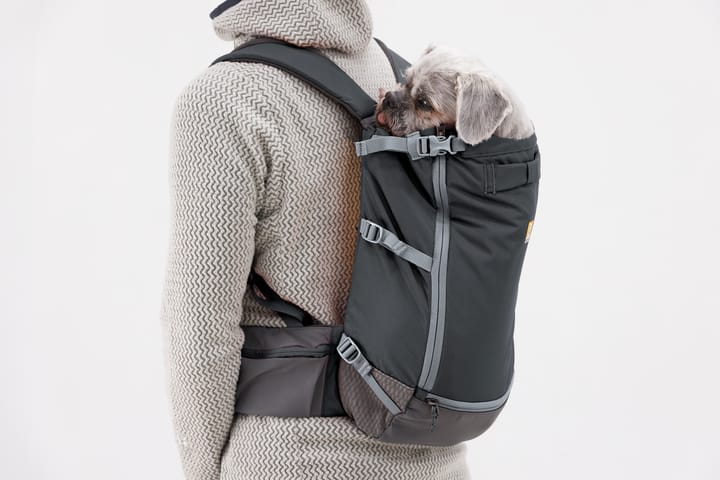 Ruffwear Hitch Hiker Dog Backpack Carrier Basalt Gray Ruffwear