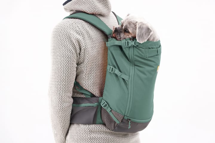 Ruffwear Hitch Hiker Dog Backpack Carrier River Rock Green Ruffwear