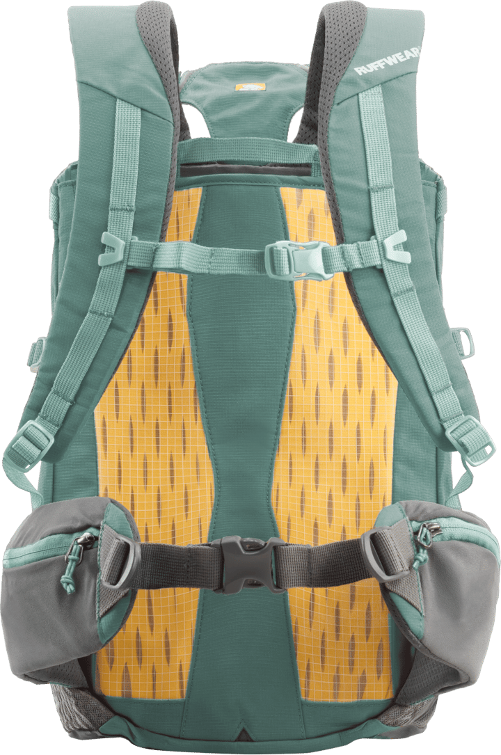 Ruffwear Hitch Hiker Dog Backpack Carrier River Rock Green Ruffwear