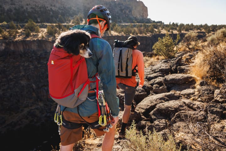 Ruffwear Hitch Hiker Dog Backpack Carrier Basalt Gray Ruffwear