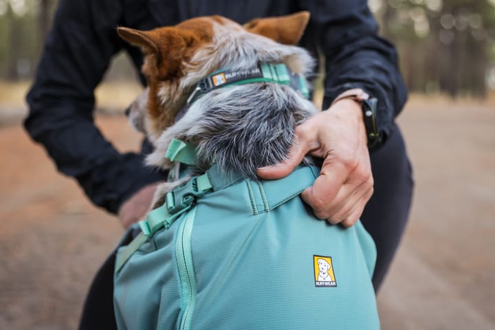 Ruffwear Hitch Hiker Dog Backpack Carrier Red Clay Ruffwear