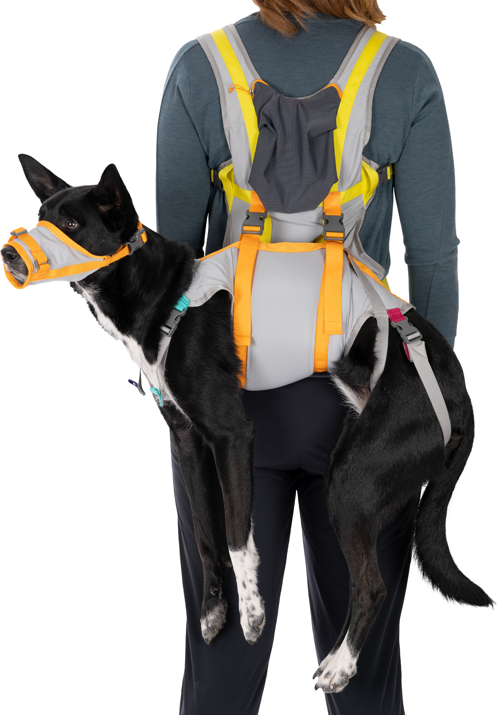 Ruffwear Backtrak Dog Evacuation Kit