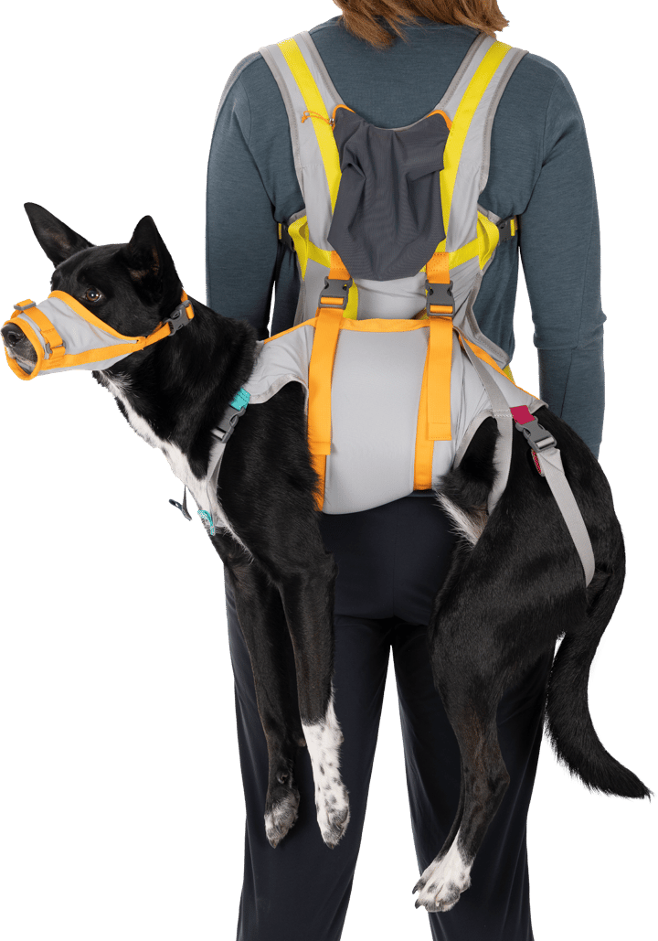 Ruffwear Backtrak Dog Evacuation Kit Cloudburst Gray Ruffwear
