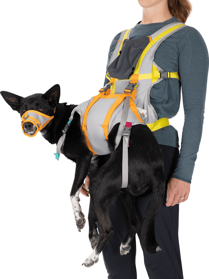 Ruffwear Backtrak Dog Evacuation Kit Cloudburst Gray Ruffwear
