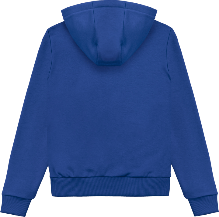 Colmar Boys' Full Zip Hoodie Captain T Colmar