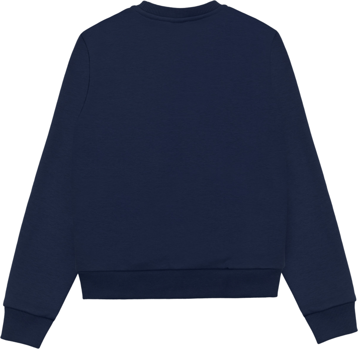 Colmar Boys' Crew Neck Sweatshirt Navy Blue T Colmar