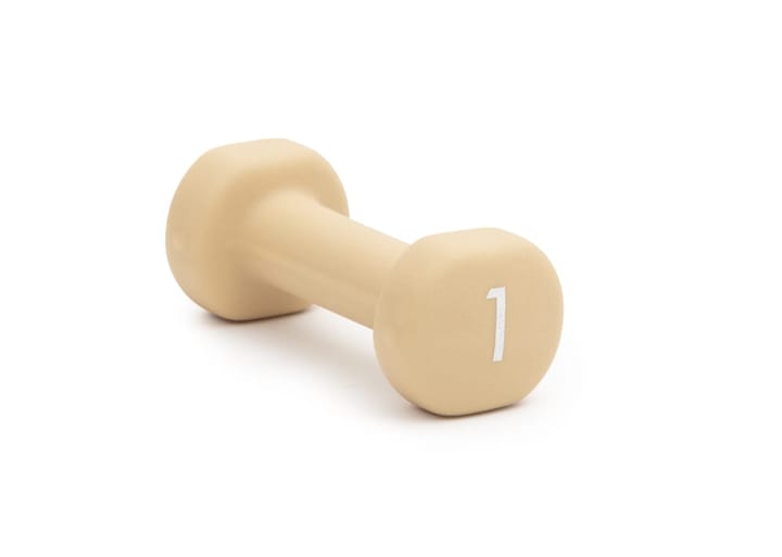 Abilica DumbBell 1 kg Sand Abilica Abilica DumbBell 1 kg Sand Abilica