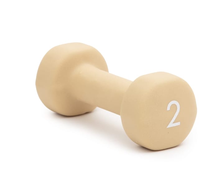 Abilica DumbBell 2 kg Sand Abilica Abilica DumbBell 2 kg Sand Abilica