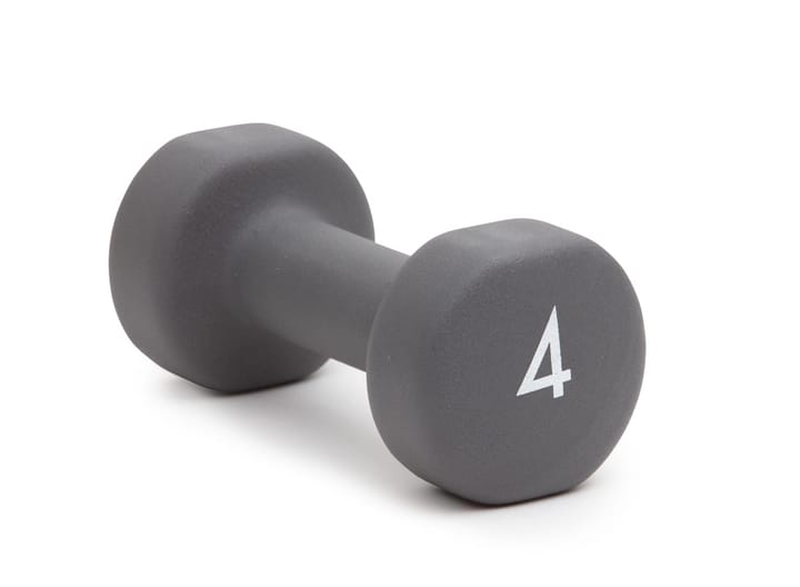 Abilica DumbBell 4 kg Grey Abilica Abilica DumbBell 4 kg Grey Abilica