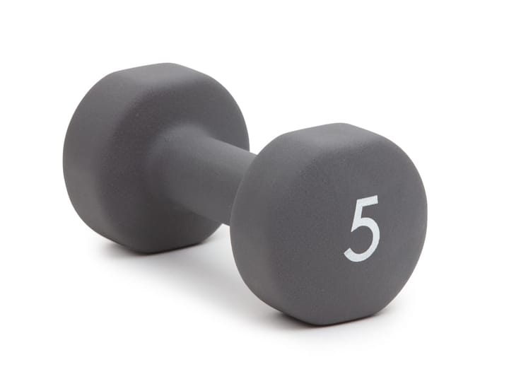Abilica DumbBell 5 kg Grey Abilica Abilica DumbBell 5 kg Grey Abilica