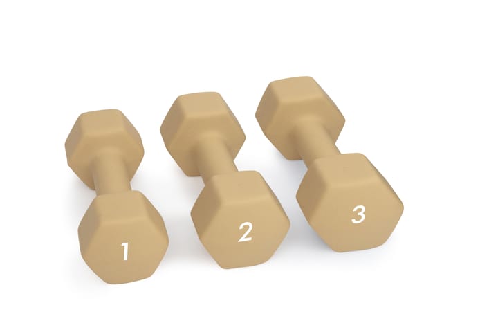 Abilica DumbBell 3 kg Sand Abilica