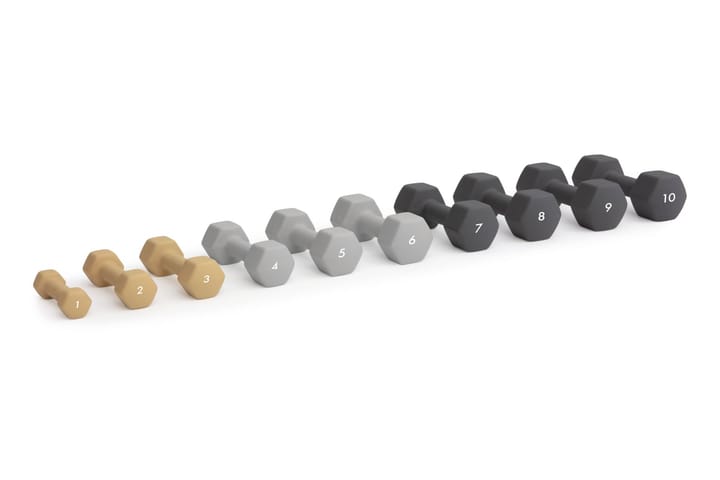 Abilica DumbBell 3 kg Sand Abilica