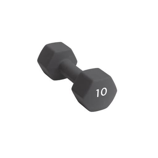 Abilica DumbBell 10 kg Dark grey Abilica