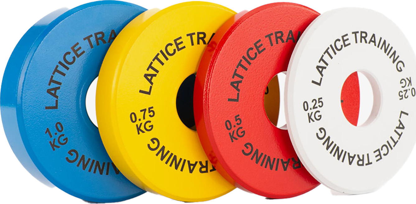 Lattice Training Fractional Weight Plates Multi Colour klätterutrustning OneSize