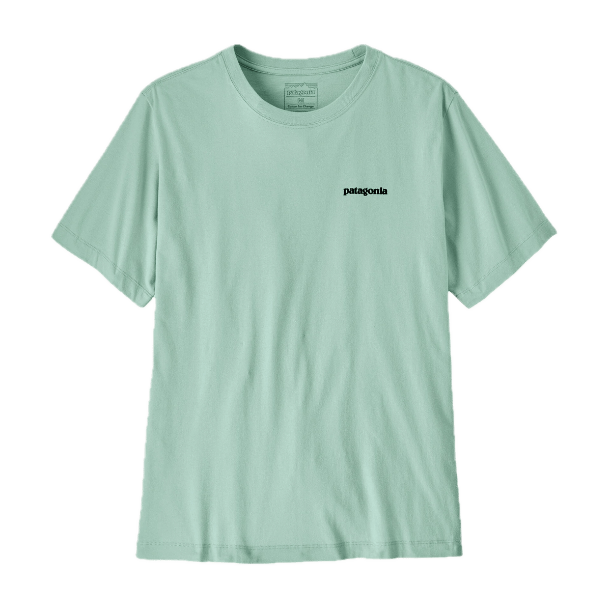Patagonia M'S Fitz Roy Trout T-Shirt Thin Ice