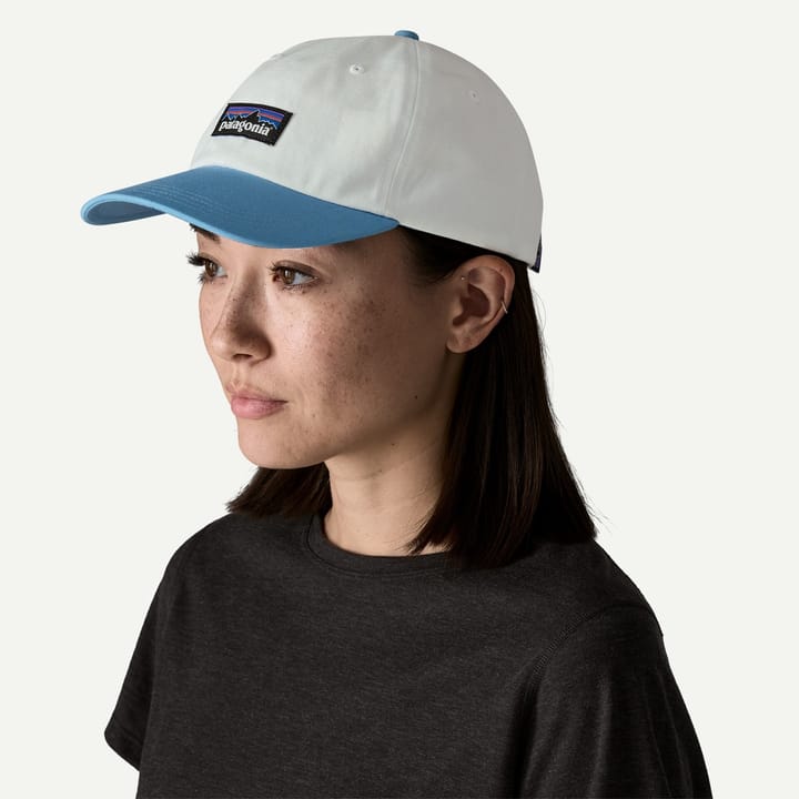 Patagonia P-6 Label Trad Cap Canopy Green Patagonia
