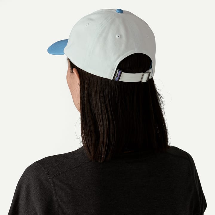 Patagonia P-6 Label Trad Cap Canopy Green Patagonia