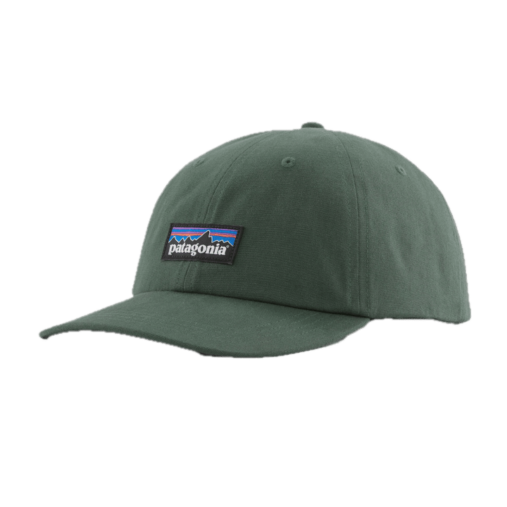 Patagonia P-6 Label Trad Cap Canopy Green Patagonia