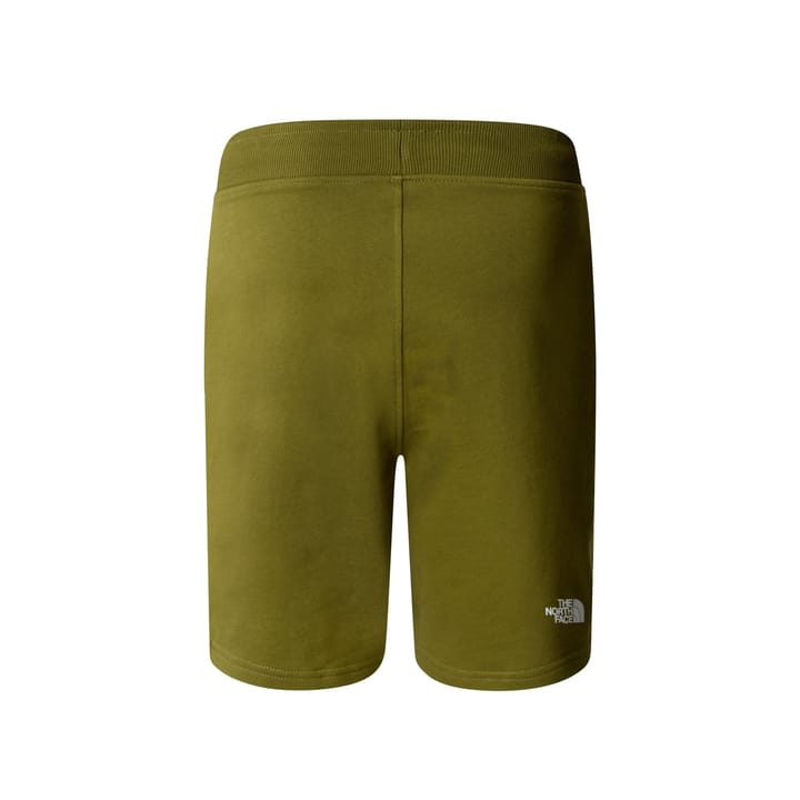 The North Face Men's Stand Shorts Light Forest Olive The North Face