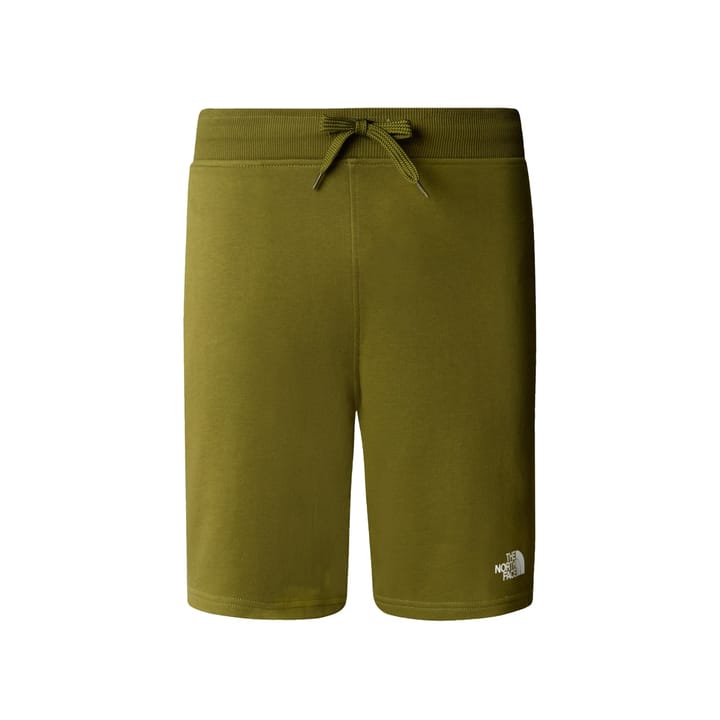 The North Face Men's Stand Shorts Light Forest Olive The North Face