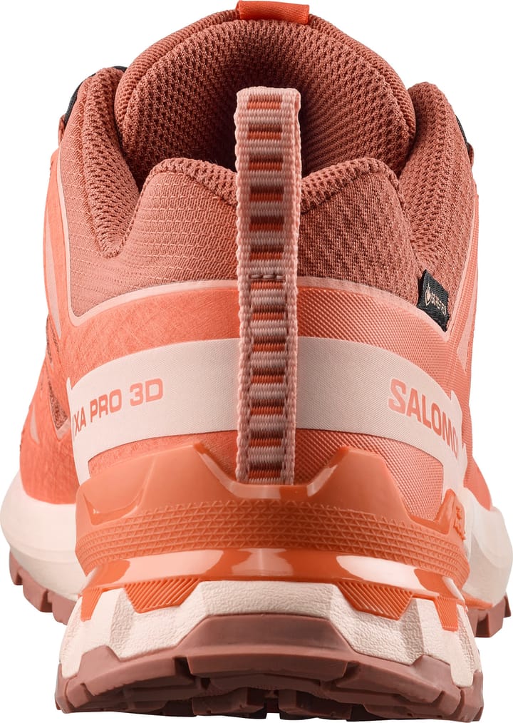Salomon Women's XA Pro 3d V9 GORE-TEX Pecan Brown / Nectarine / Almond Cream Salomon