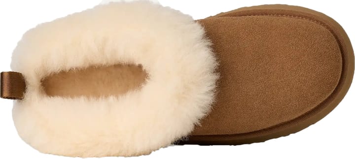 UGG Women's Tazzelle Chestnut UGG UGG Women's Tazzelle Chestnut UGG