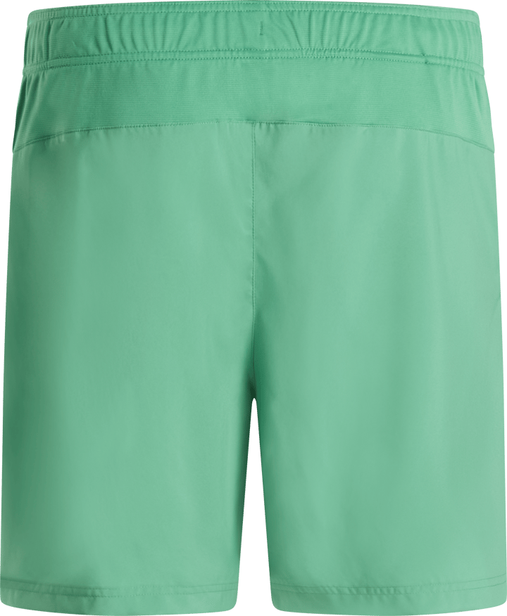 The North Face Men's 24/7 Shorts Dimmed Algae The North Face
