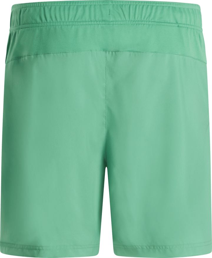 The North Face Men's 24/7 Shorts Dimmed Algae The North Face