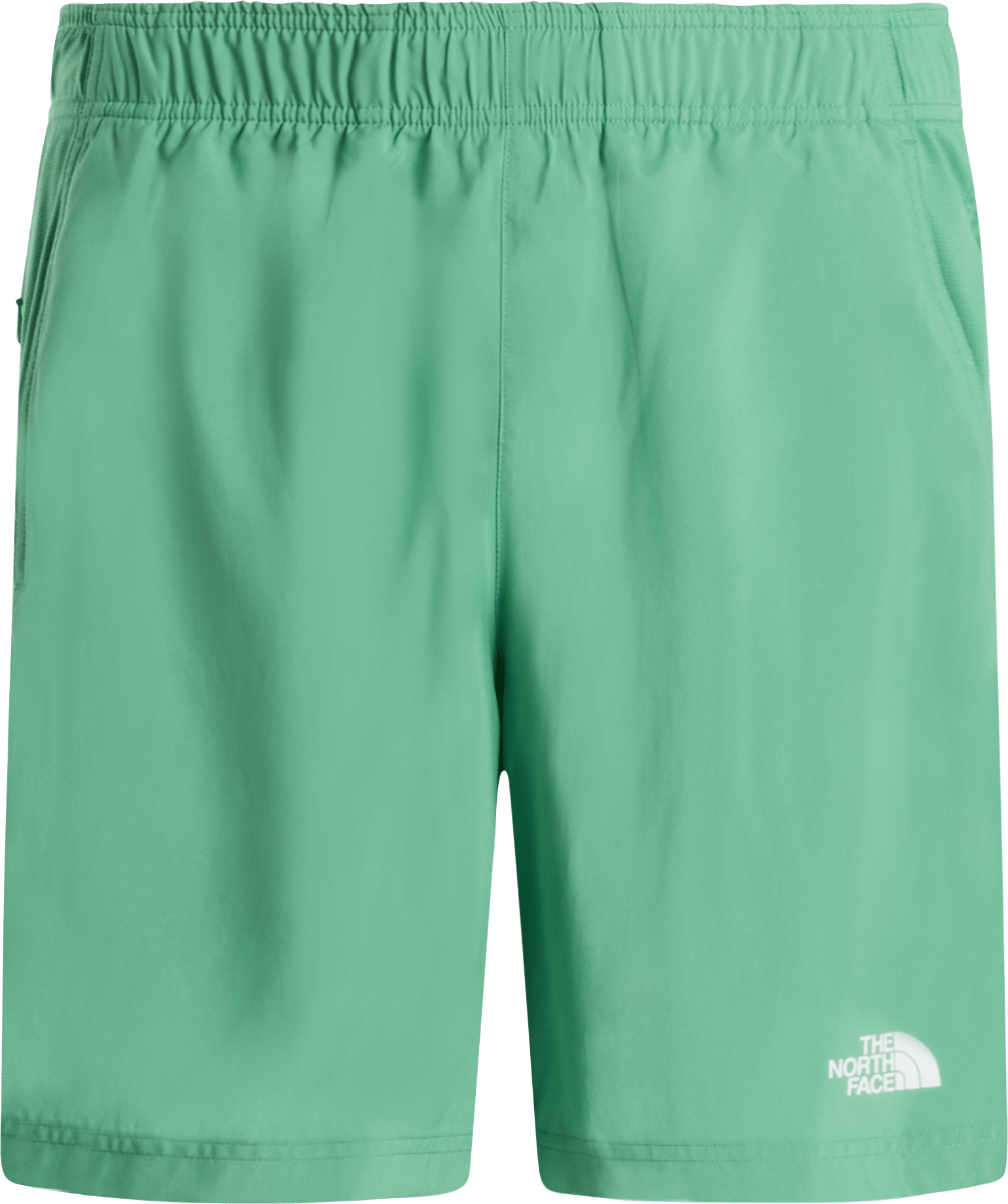 The North Face Men's 24/7 Shorts Dimmed Algae