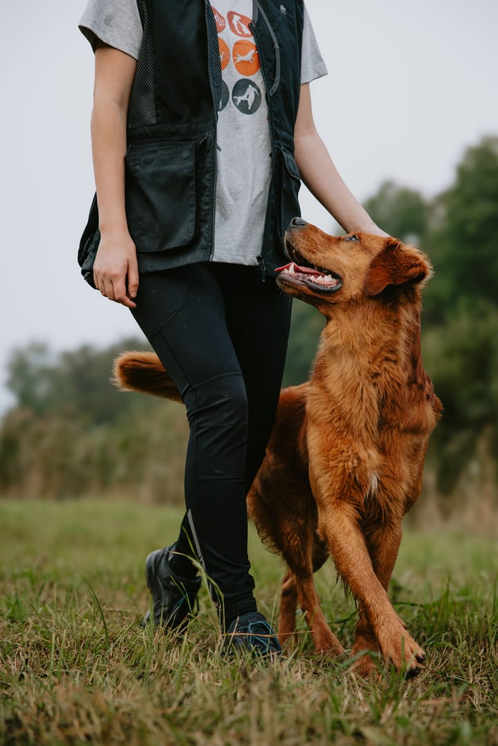 Pinewood Women's Dog Sports T-Shirt Light Grey Melange Activity Pinewood