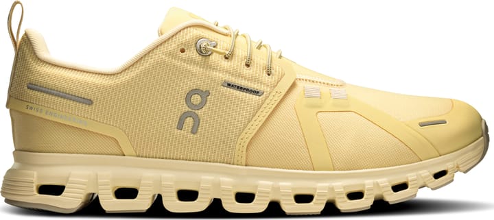 On Women's Cloud 6 Waterproof Nectar/Castor On