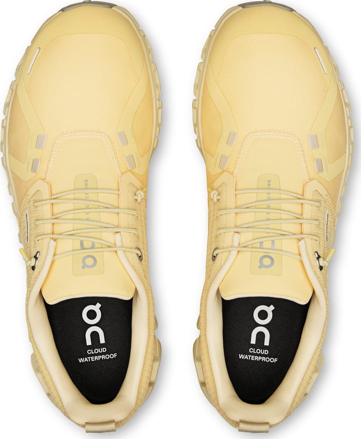 On Women's Cloud 6 Waterproof Nectar/Castor On