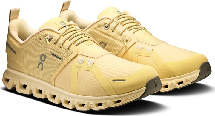 On Women's Cloud 6 Waterproof Nectar/Castor On