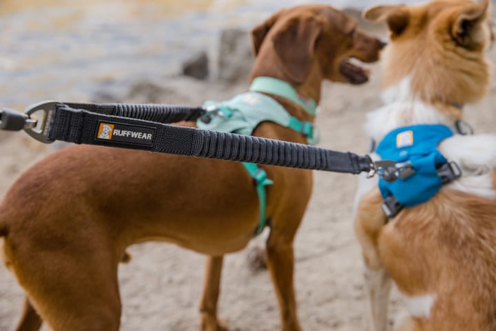 Ruffwear Double Track Coupler Basalt Gray Ruffwear