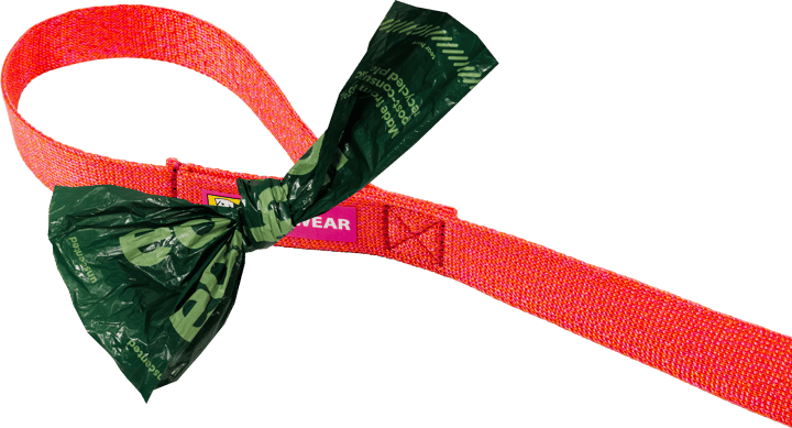 Ruffwear Front Range Flex Leash Rose Violet Ruffwear