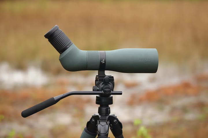 Swarovski AT Endura 21-65x75 Green Swarovski