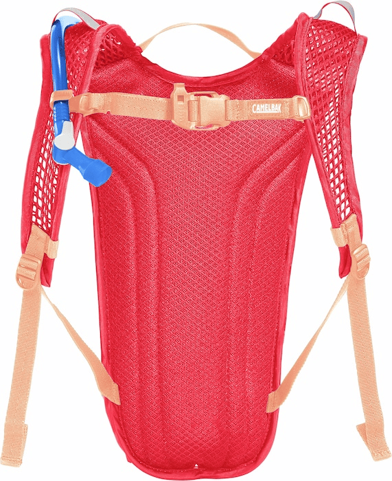 CamelBak Mini M.U.L.E. Pink/flowers CamelBak