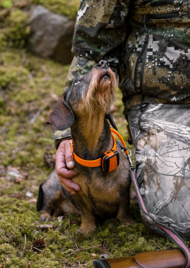Tracker Tracker Bark Black/Orange Tracker
