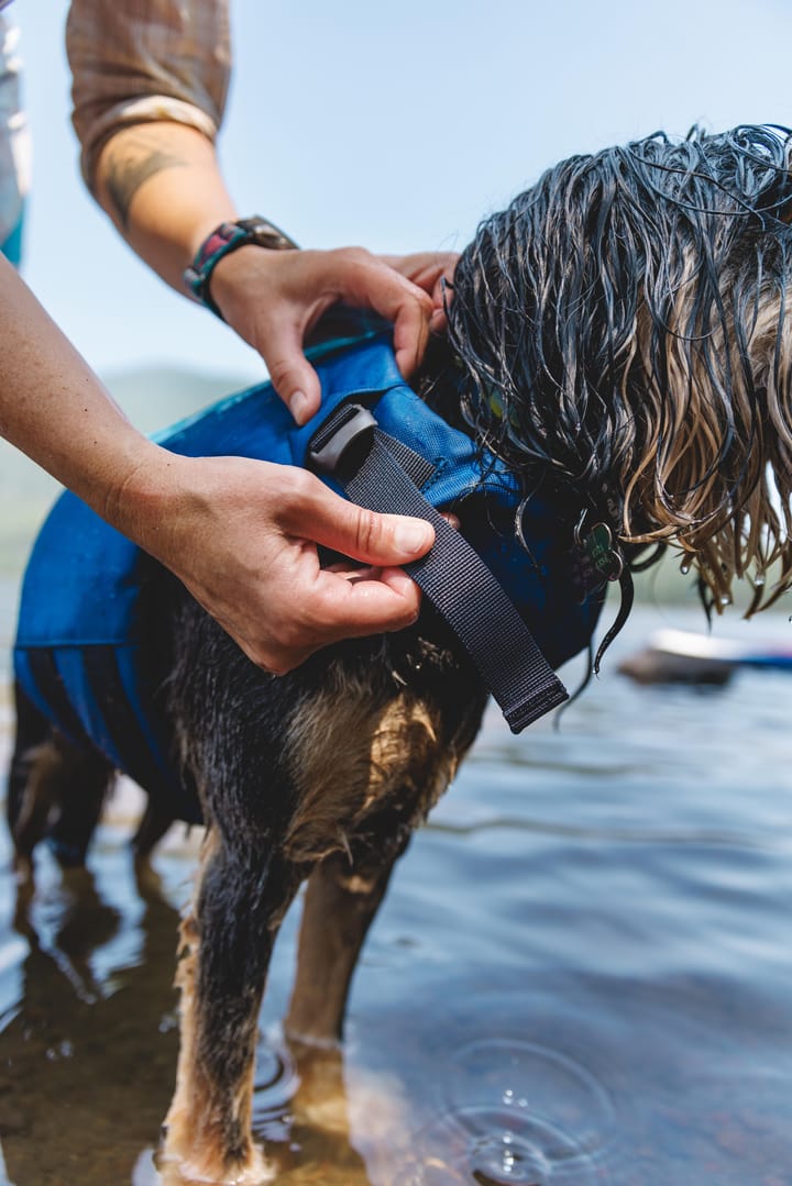 Ruffwear Float Coat Dog Life Jacket Deep Blue Ruffwear