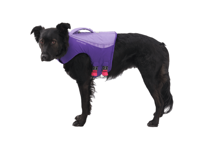 Ruffwear Float Coat Dog Life Jacket Purple Lily Ruffwear