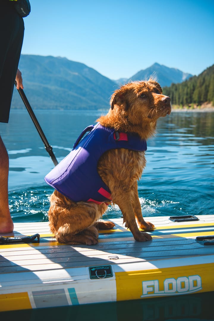 Ruffwear Float Coat Dog Life Jacket Deep Blue Ruffwear
