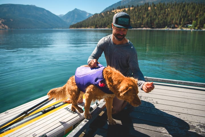 Ruffwear Float Coat Dog Life Jacket Purple Lily Ruffwear