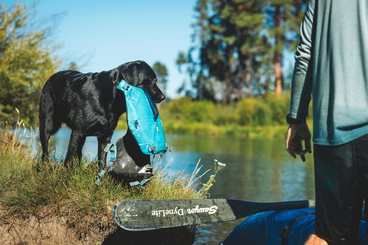 Ruffwear Confluence Dog Life Jacket Biolumin Blue Ruffwear