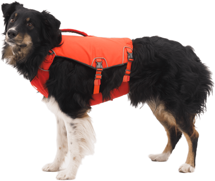 Ruffwear Confluence Dog Life Jacket Tangelo Orange Ruffwear