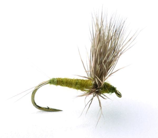 Umpqua Flies Comparadun Bwo Umpqua Flies