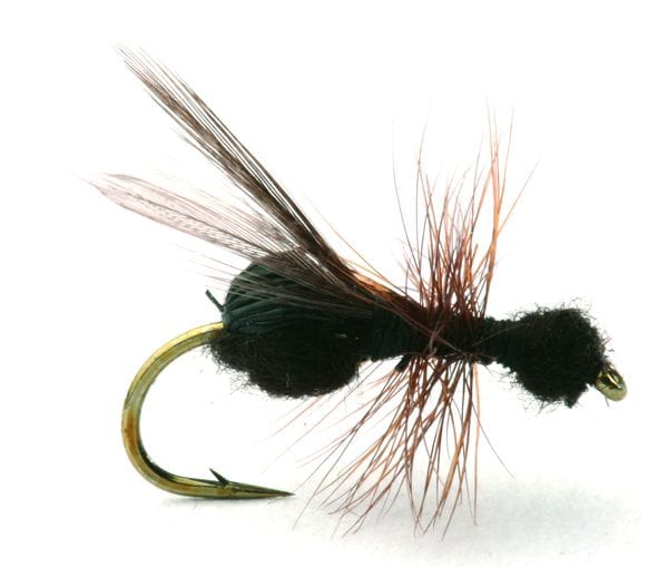 Umpqua Flies Flying Ant Umpqua Flies Umpqua Flies Flying Ant Umpqua Flies